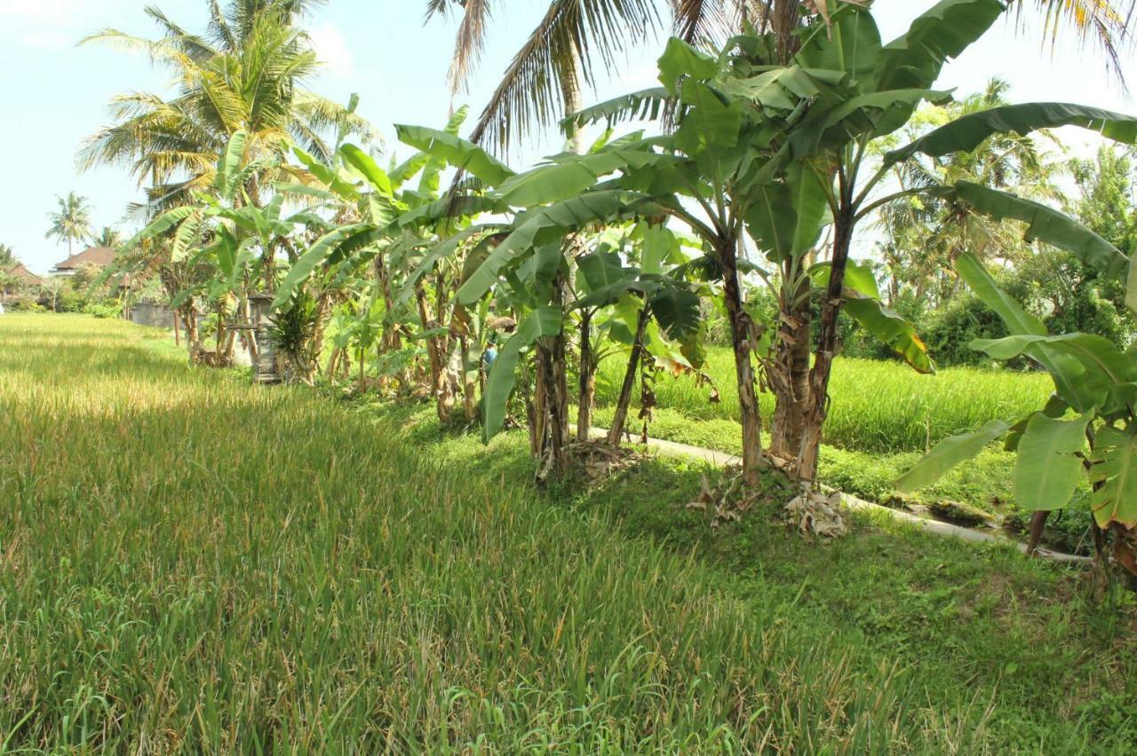 Ubud River Campuhan Villa Eksteriør bilde