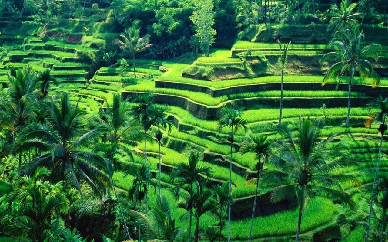 Ubud River Campuhan Villa Eksteriør bilde